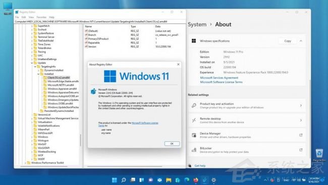 Windows 11 Build 22000.194